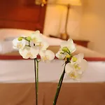 Brunfels Hotel, In The Unbound Collection By Hyatt Hotel Magonza