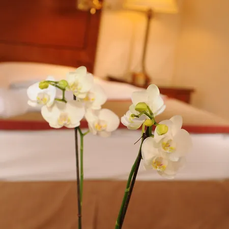 Brunfels Hotel, In The Unbound Collection By Hyatt Hotel Magonza